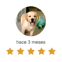 Abogados Mataró laboral