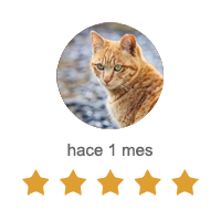 Abogados por whatsapp 24 horas Guadalajara